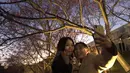 Pengunjung berswafoto dengan latar belakang bunga sakura pada malam hari di Taipei, Taiwan, Senin (27/2/2023). Dari bulan Januari – April, kota-kota di seluruh negeri akan dipenuhi dengan bunga sakura. (AP Photo/Chiang Ying-ying)