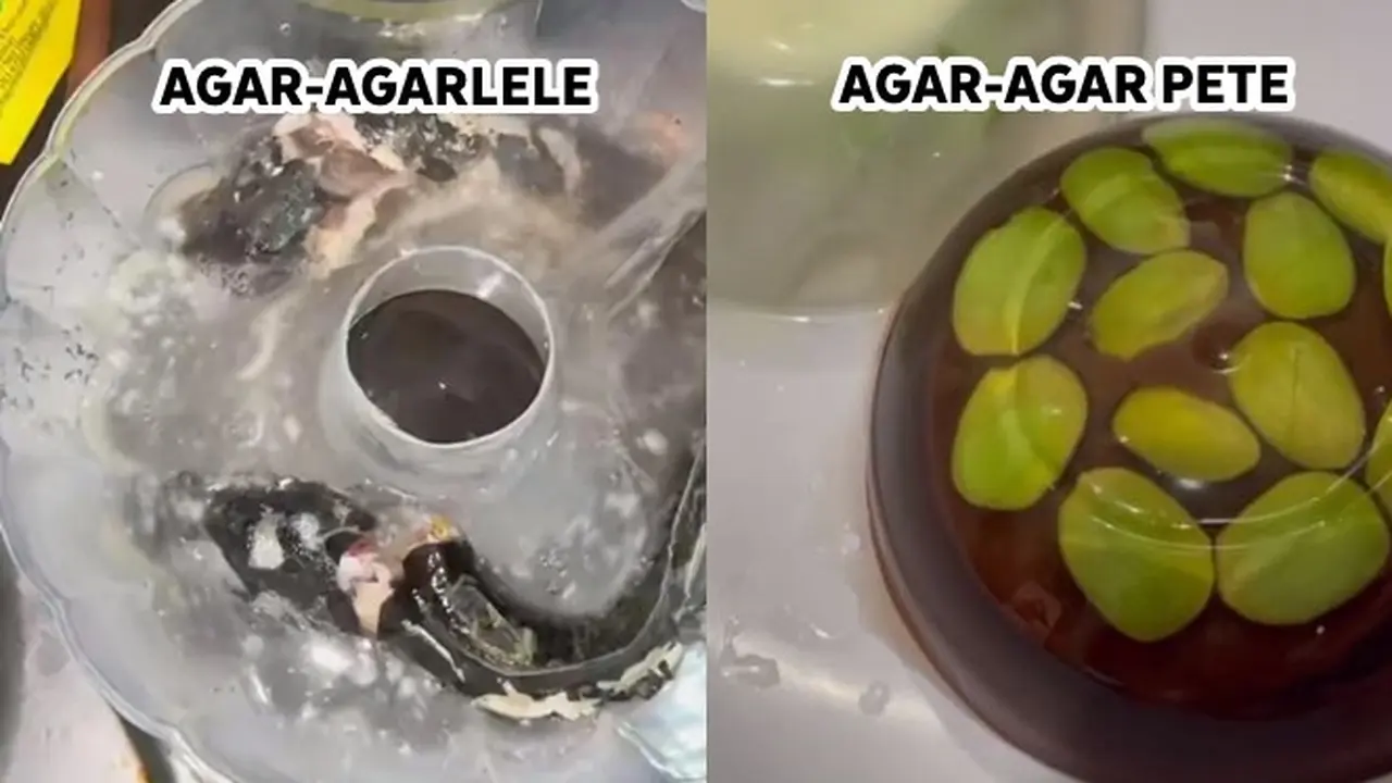 6 Potret Agar-Agar dengan Isian Tak Masuk Akal, Nyeleneh Banget
