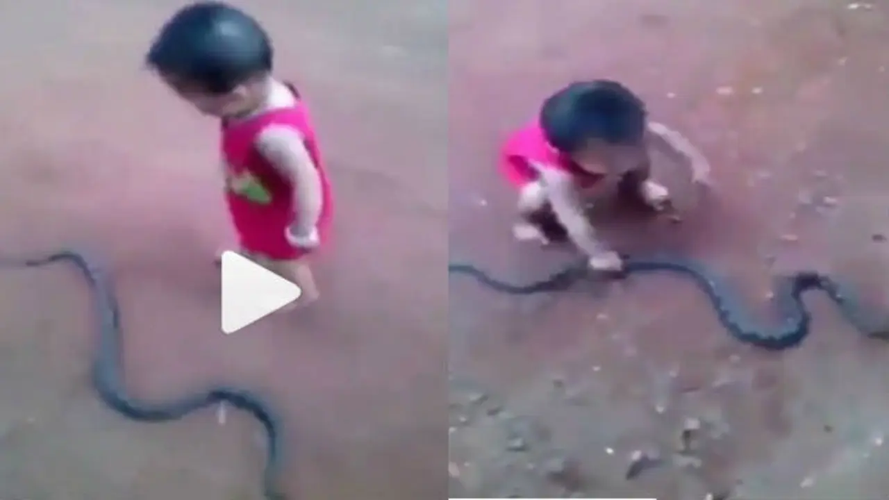 Video viral anak