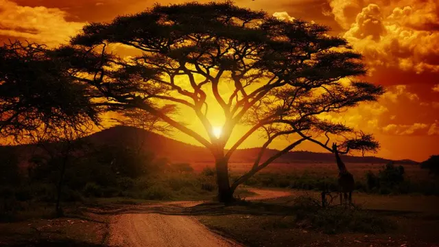 Sunset  Tanzania, Afrika