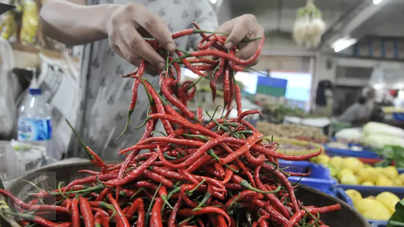 Harga cabai keriting sudah tinggi sejak dipasok dari Pasar Induk Kramat Jati, Jakarta Timur. 