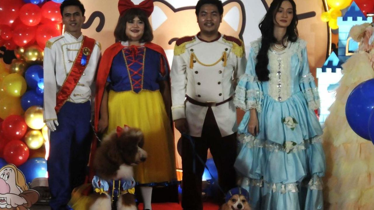 Anjing Jesslyn (kiri) dan Rocky (kanan) mengenakan kostum ala karakter Disney saat pesta perayaan ulang tahun mereka di sebuah mal di Jakarta, Jumat (10/5/2024). Pesta ulang tahun kedua anjing menggemaskan ini dimeriahkan parade busana yang dihadiri ratus