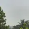 Kebakaran Hutan dan Lahan di Desa Limbung, Kecamatan Sungai Raya, Kabupaten Kubu Raya, Kalimantan Barat. (merdeka.com/Lizsa Egeham).