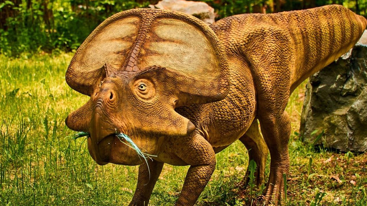 Peneliti Ungkap Manusia akan Bernasib Sama Seperti Dinosaurus: Makin Bodoh Seiring Waktu, Ini Alasannya