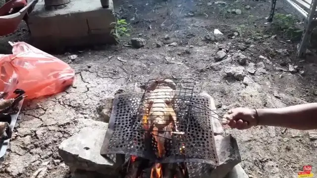 Cara Menghilangkan Lemak pada Daging Bebek