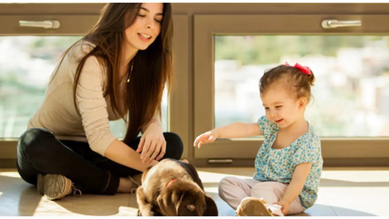 Foto: copyright thinkstockphotos.com