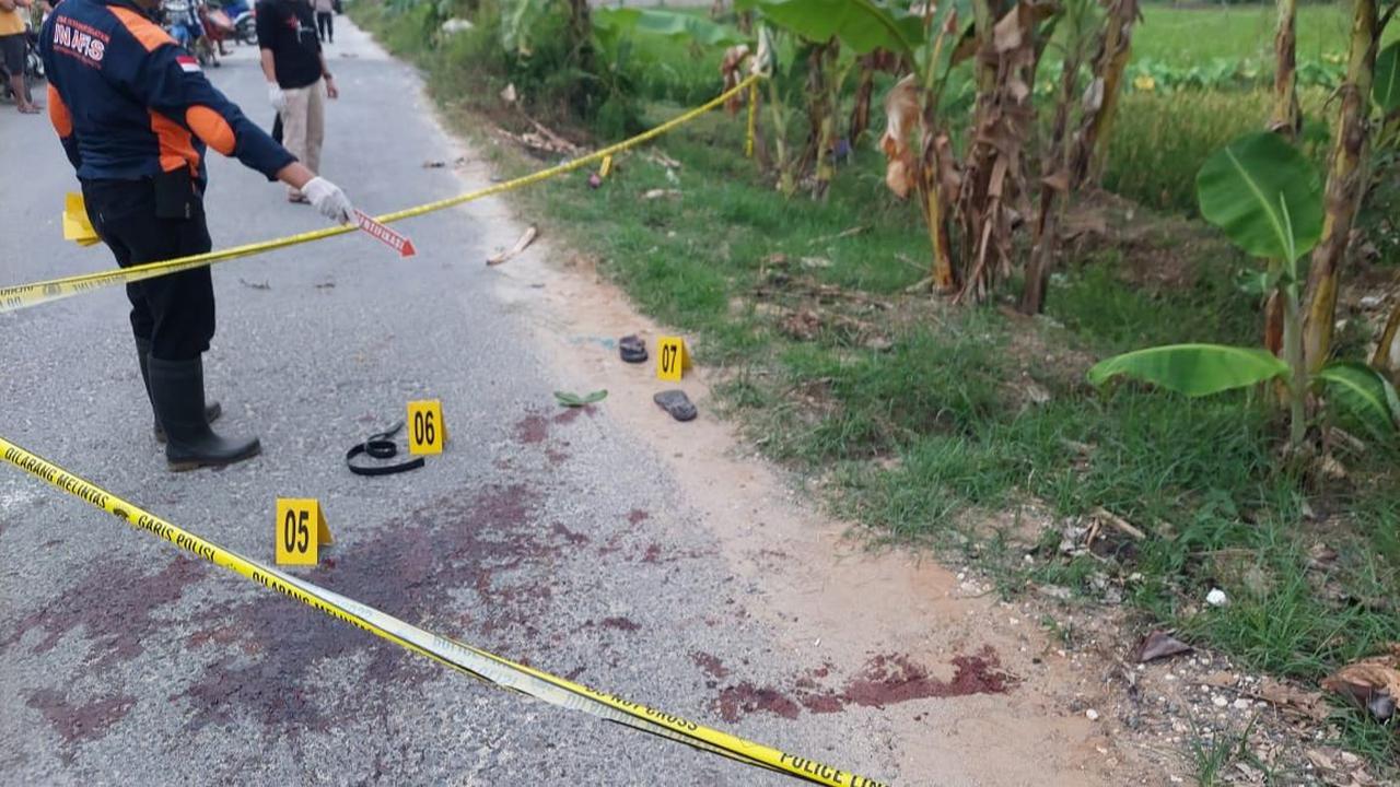 Intip Isi Garasi Pj Bupati Pati yang Daerahnya Disebut Netizen 'Kampung Penadah Mobil Bodong