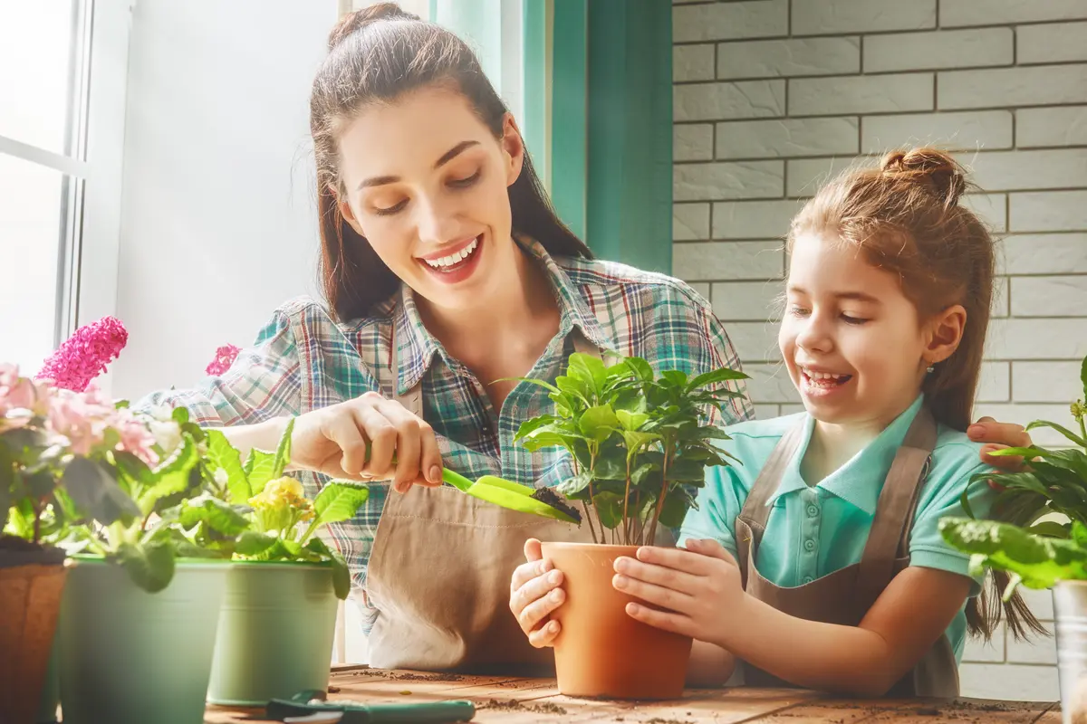 berkebun