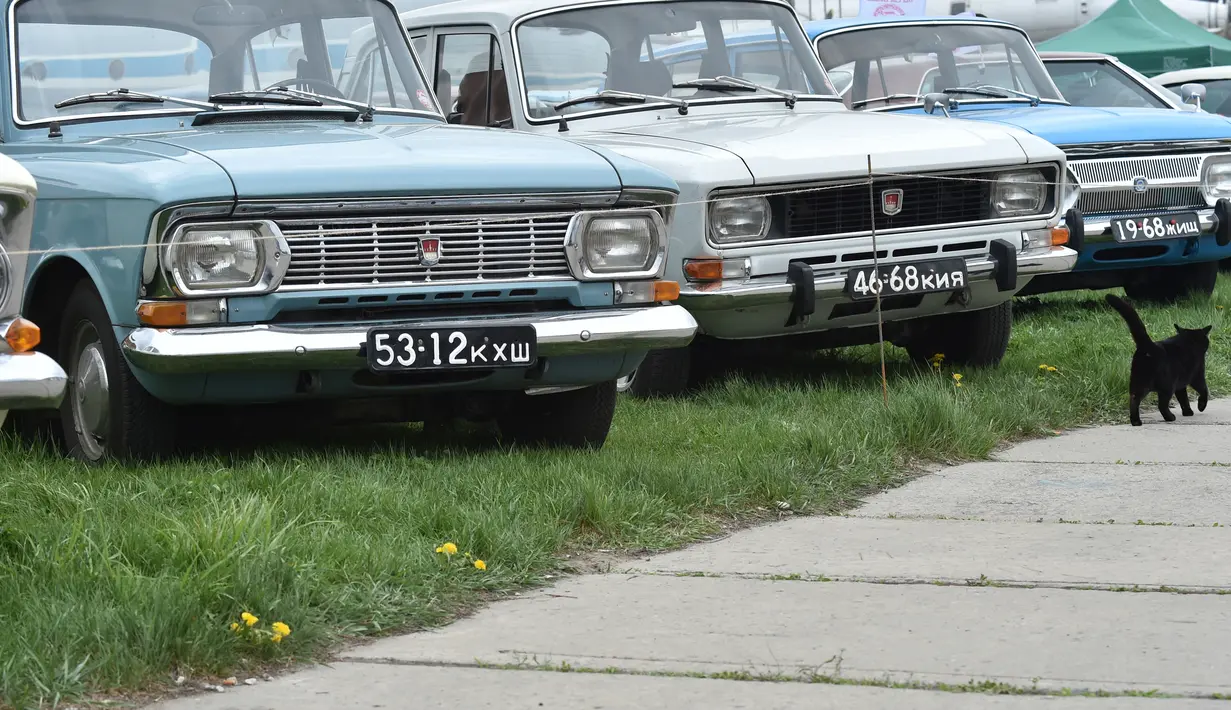 Seekor kucing berjalan di depan mobil jadul yang dipamerkan selama hari pembukaan festival mobil retro OldCarLand di Kiev (27/4). Pameran kendaraan jadul ini digelar dari 27 April hingga Mei, 1, 2018. (AFP Photo/Sergei Supinsky)