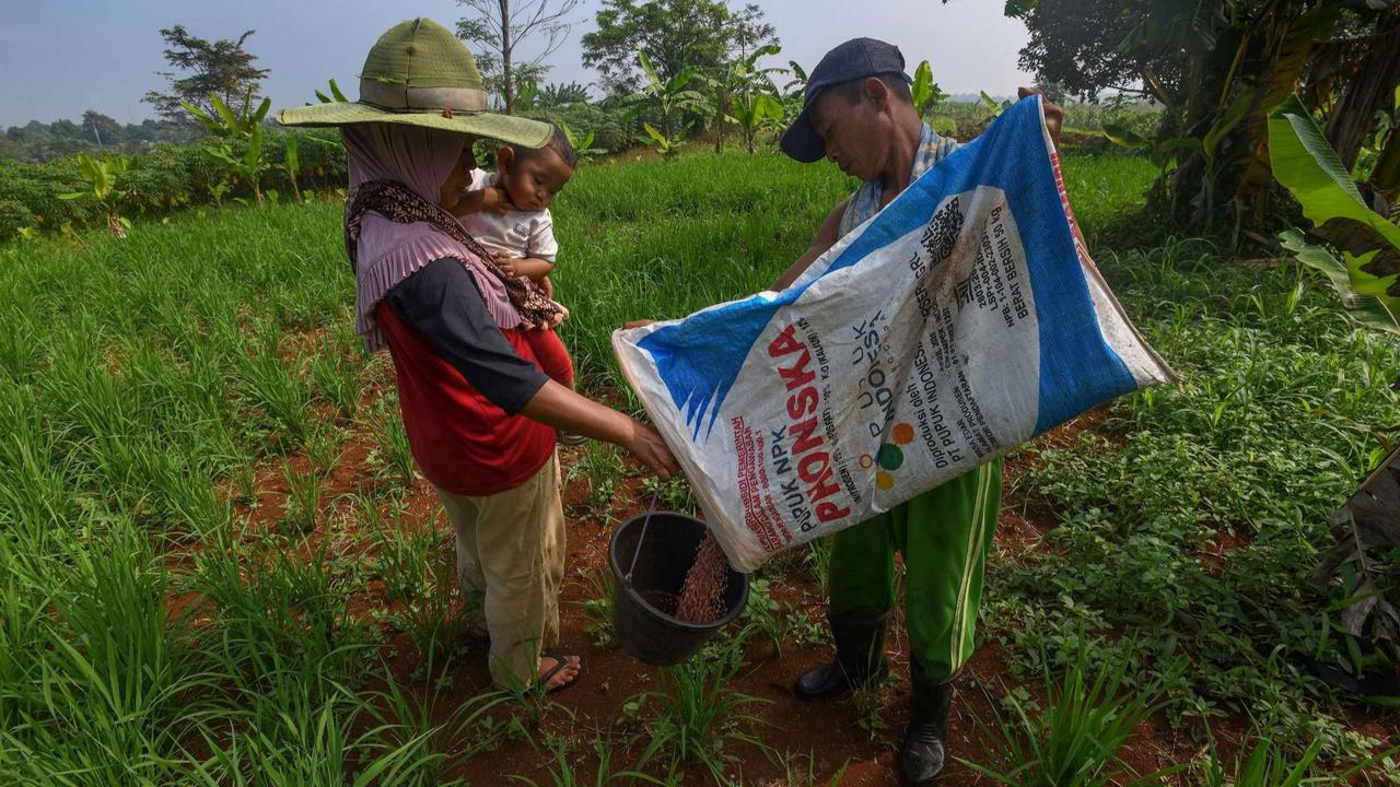 Distribusi Pupuk Subsidi ke Petani Mulai Lancar