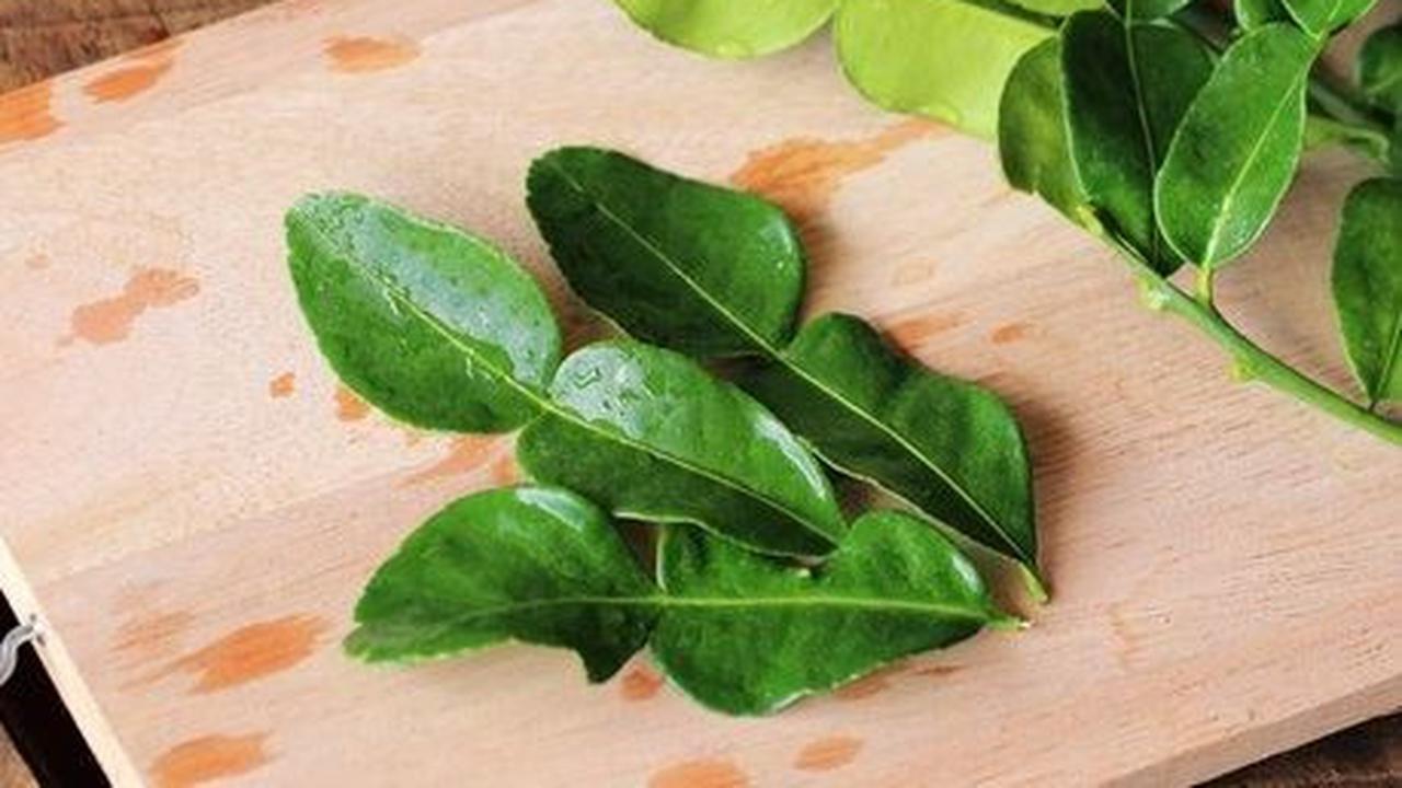 2. Daun Jeruk