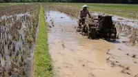 Pemerintah meresmikan Jaringan Irigasi Air Tanah untuk masyarakat petani di Desa Rejomulyo, Lampung Selatan