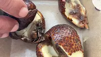 Viral Menu MBG di SD Kota Sukabumi Ditemukan Cicak dan Buahnya Busuk, Orang Tua Protes Keras