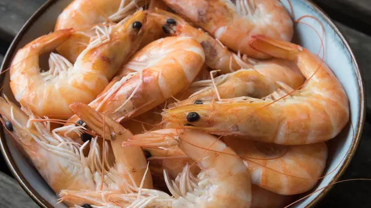 Rahasia Rebus Udang Tetap Cantik dan Lembut yang Jarang Diketahui