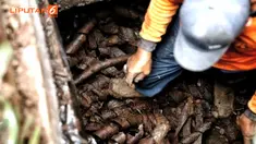 Pemerintah Provinsi DKI Jakarta mengungkap penyebab banjir di jalan depan Istana Merdeka, Jalan Medan Merdeka Utara, Jakarta Pusat. Lokasi lain pun ditelusuri guna mencari kemungkinan temuan serupa.