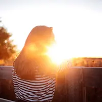 Katanya manusia adalah tempatnya salah dan dosa, begitu juga dengan kamu! (Ilustrasi: Pexels.com)