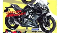 Tampang Kawasaki Ninja 250 RR ini dibocorkan majalah otomotif Jepang, Young Mahcine
