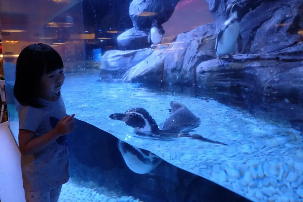 Jakarta Aquarium
