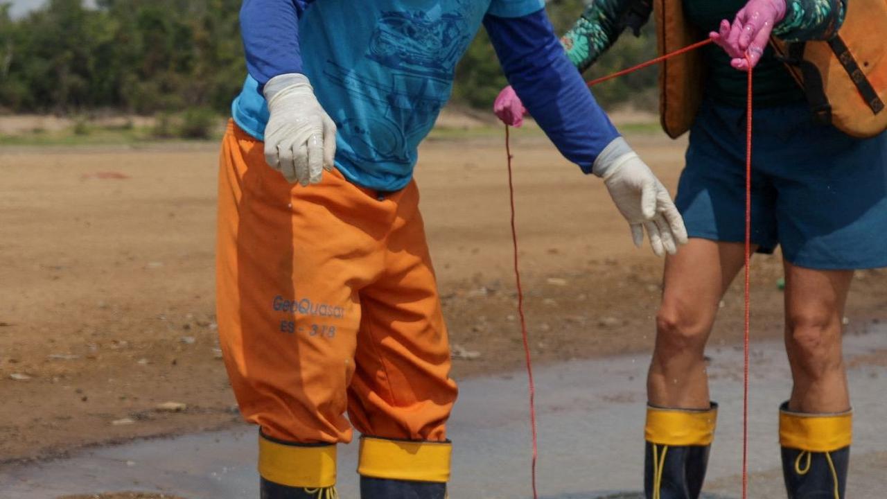 Institut Konservasi Keanekaragaman Hayati Chico Mendes di Brazil telah mengerahkan dokter hewan dan ahli mamalia air untuk menyelamatkan lumba-lumba yang masih hidup di danau tersebut.<br>