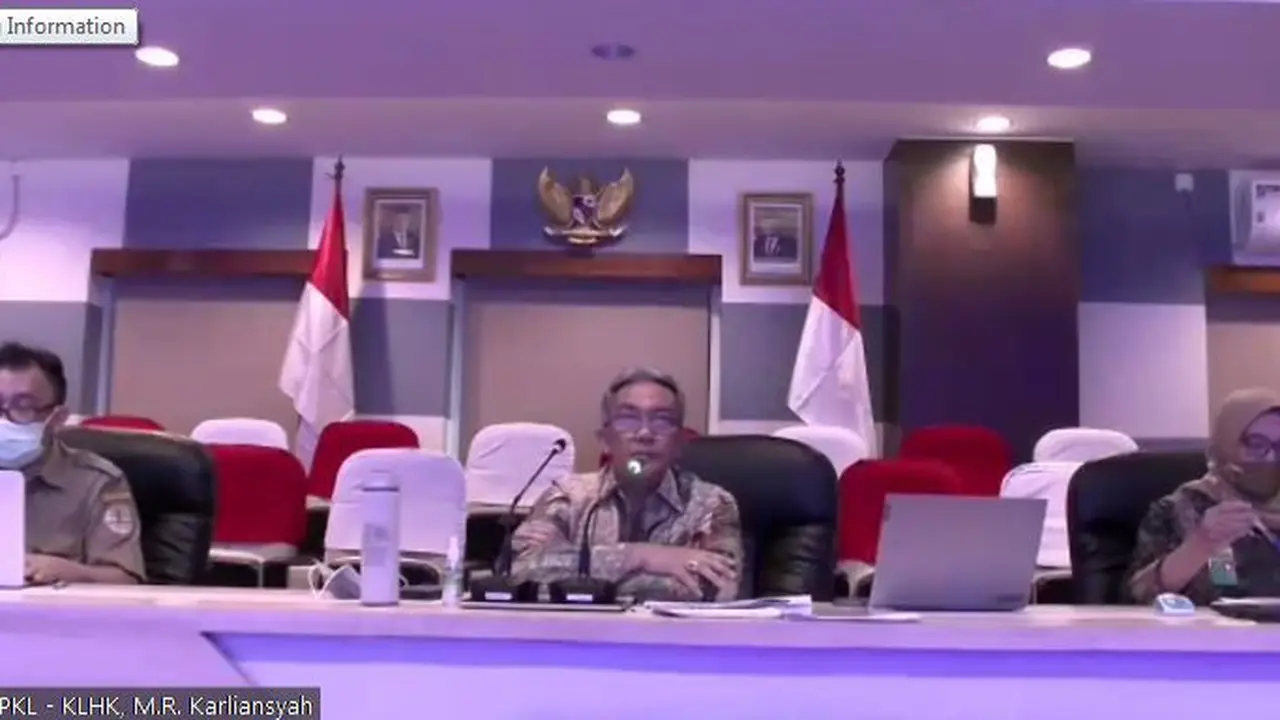 Penjelasan KLHK soal Banjir di Kalsel
