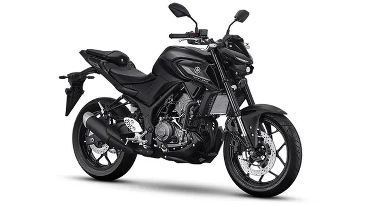 Yamaha MT25 Baru Meluncur di Indonesia Tanpa Seremoni (ist)