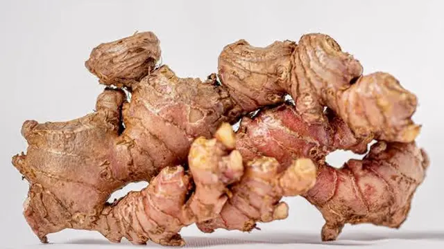 Salah satu tanaman herbal yang kaya manfaat yakni jahe merah