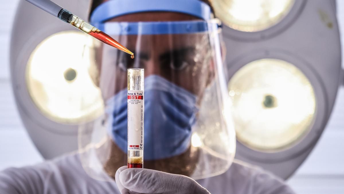 Apa Itu Panda Blood: 1 Jenis Golongan Darah Langka