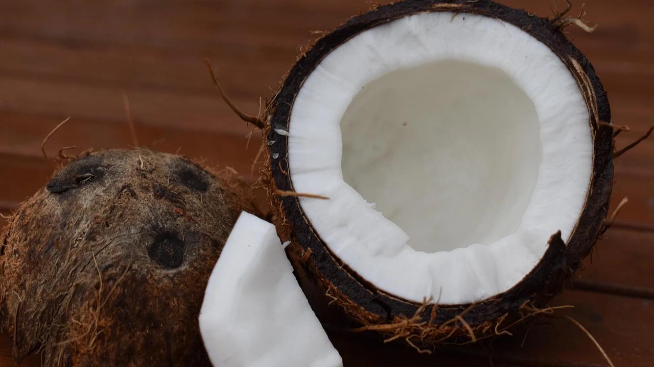 Panduan Menyimpan Sisa Kelapa Parut agar Segar Lebih Lama, Tidak Mudah Basi