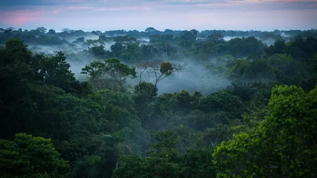 8 Tempat Tujuan Ekowisata Terbaik di Dunia