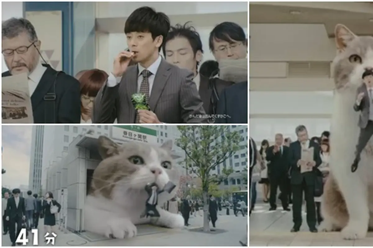 Photo copyright Youtube/Lotte