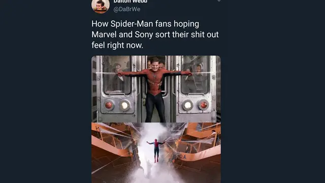 Meme Spiderman Terancam Tak Ada di Marvel