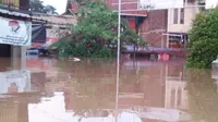 Banjir merendam 9.285 rumah di wilayah Kabupaten Bandung, Jawa Barat, Selasa (31/3/2020). (Liputan6.com/ BNPB)