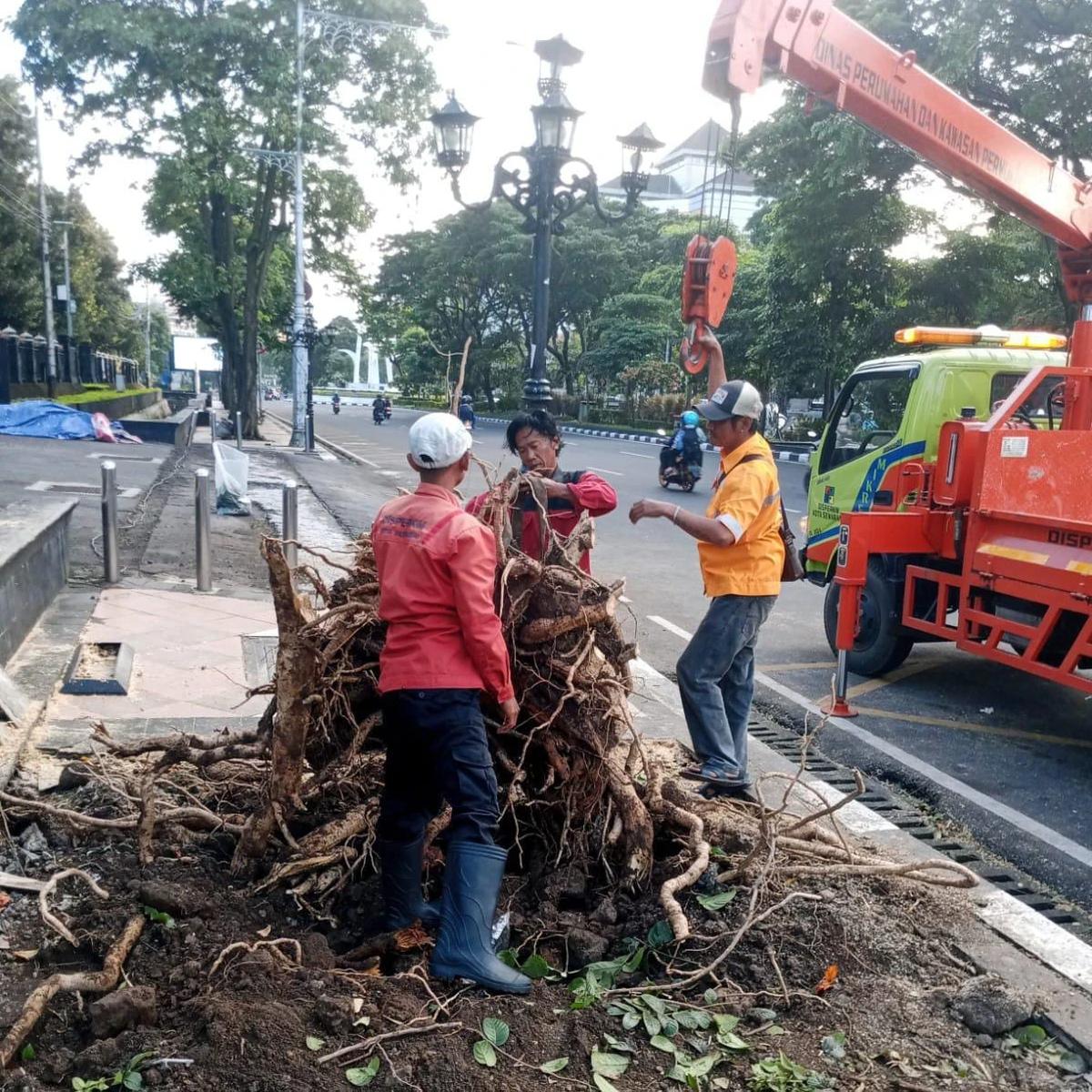 Pemkot Semarang Tangani Dampak Hujan Disertai Angin Kencang, Dalam Semalam 86 Pohon Tumbang Dievakuasi