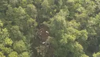 Kronologi Helikopter Jatuh di Kalimantan Barat, Pilot dan Penumpang Meninggal Dunia