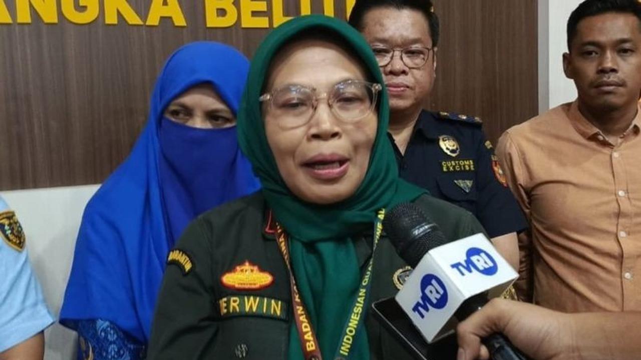 Waspada! Ancaman PPR Domba Babel Kian Nyata, Barantin Perketat Pengawasan Ternak