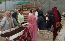 Dari Limbah Jadi Sumber Penghidupan, Perempuan Nasabah PNM Mekaar Kembangkan Usaha lewat Sinergi Ultra Mikro BRI
