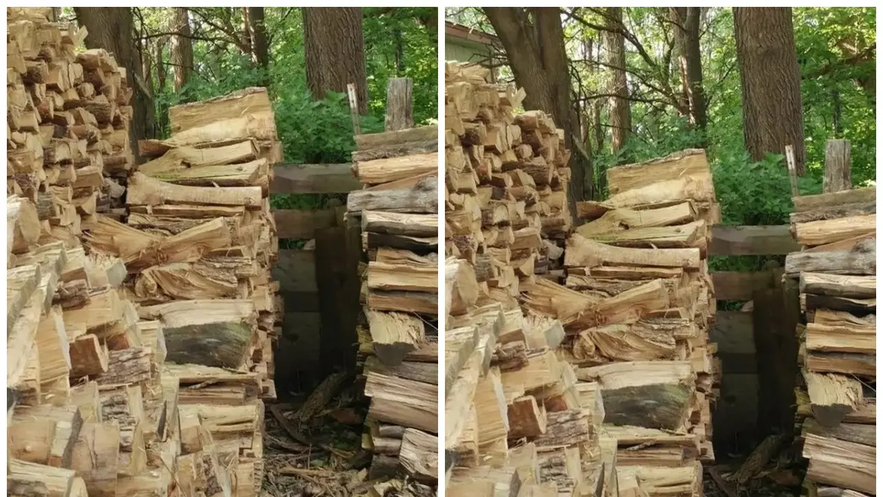 Kucing di Gambar Tumpukan Kayu