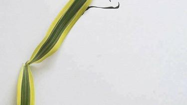 Desain Baju Sketsa Desain Baju