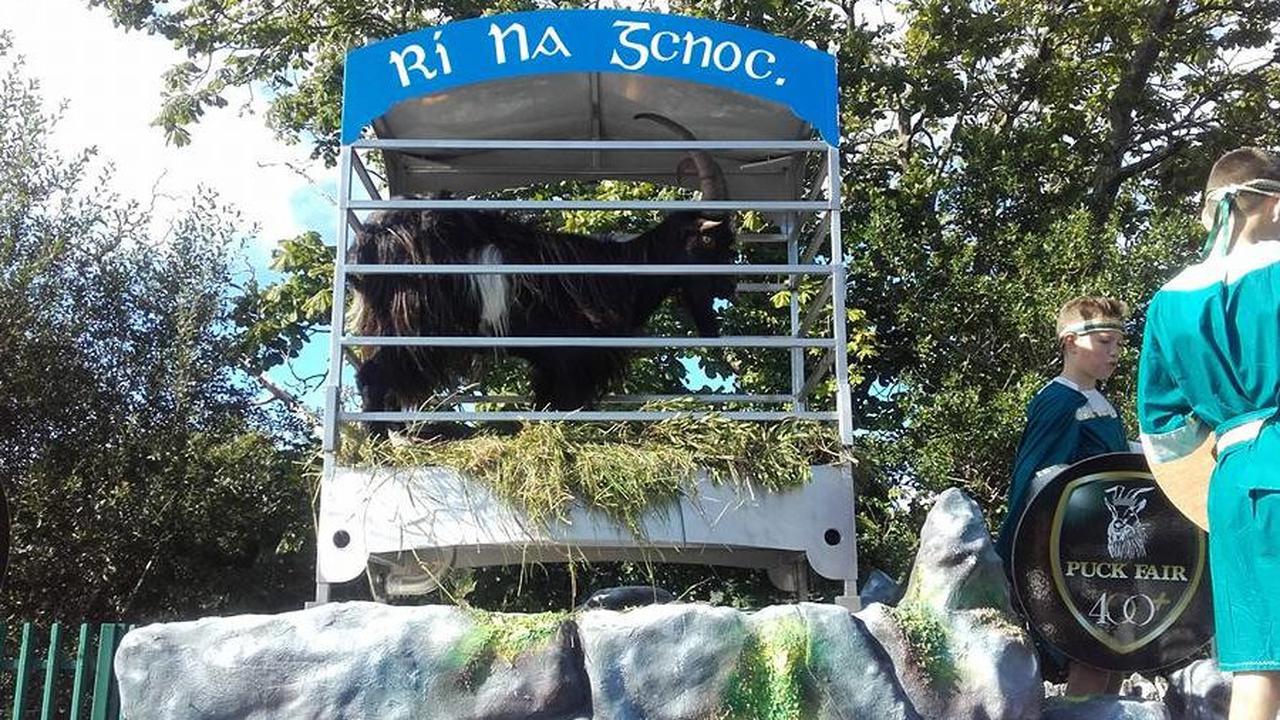 Festival Puck Fair yang memberikan mahkota raja kepada kambing di Irlandia. (http://puckfair.ie/)