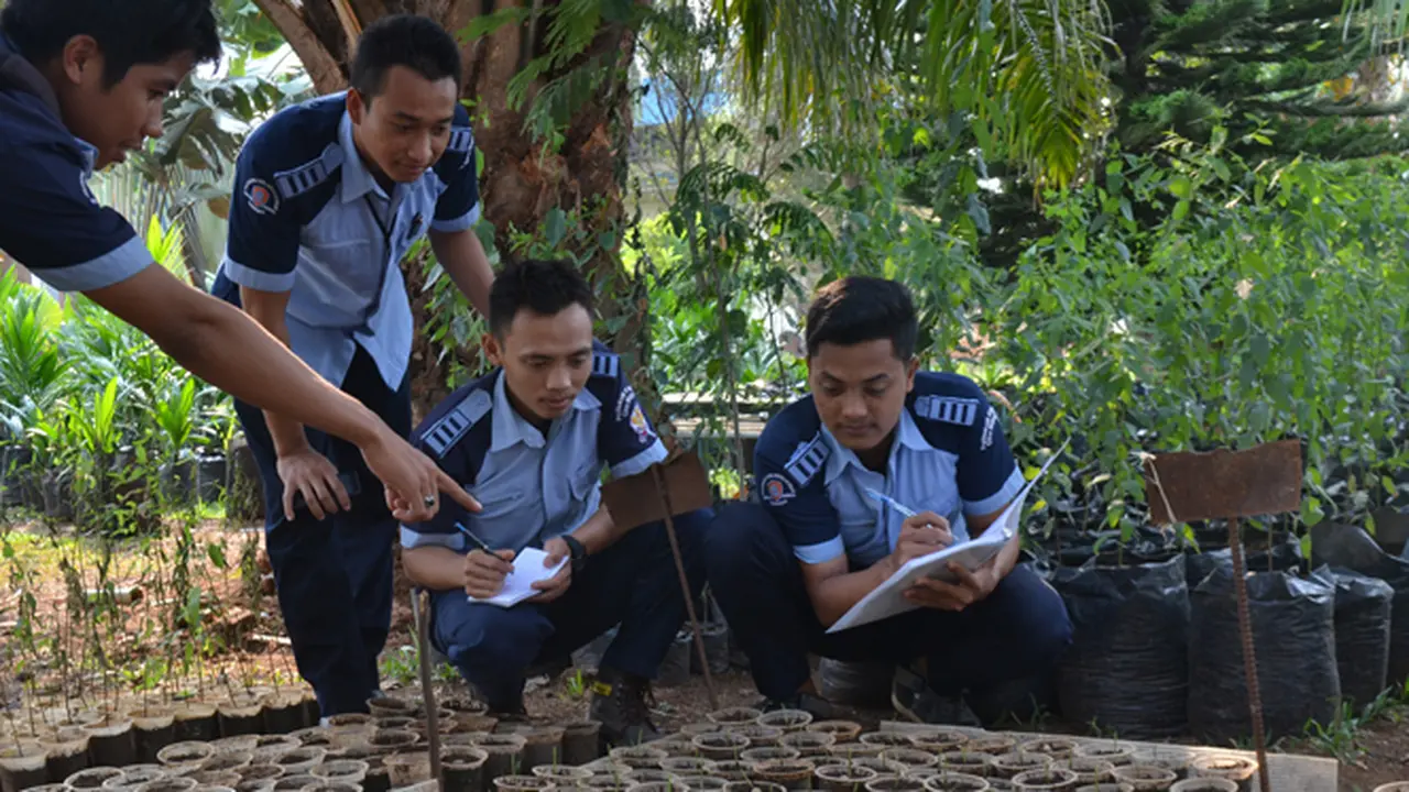 Perkebunan Kelapa Sawit Butuh Ribuan Pekerja Tiap Tahun