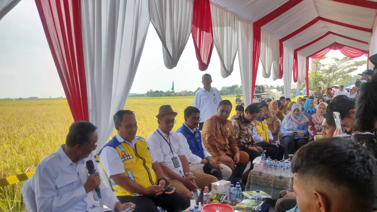 Menteri PU Dody Anggodo Sebut Hama Tikus Tantangan Besar Petani Terapkan IPHA