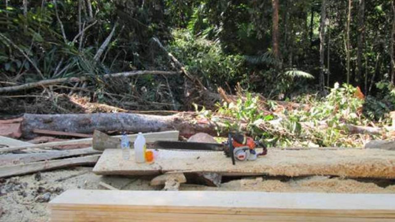 Parahnya kerusakan hutan lindung di Sulut akibat tambang ilegal
