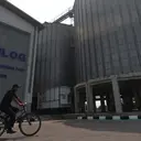 Hama Masuk ke Permukiman, Bulog Fumigasi Gudang Beras