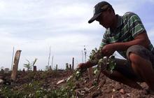 Nasib tunawan setelah pindah alam