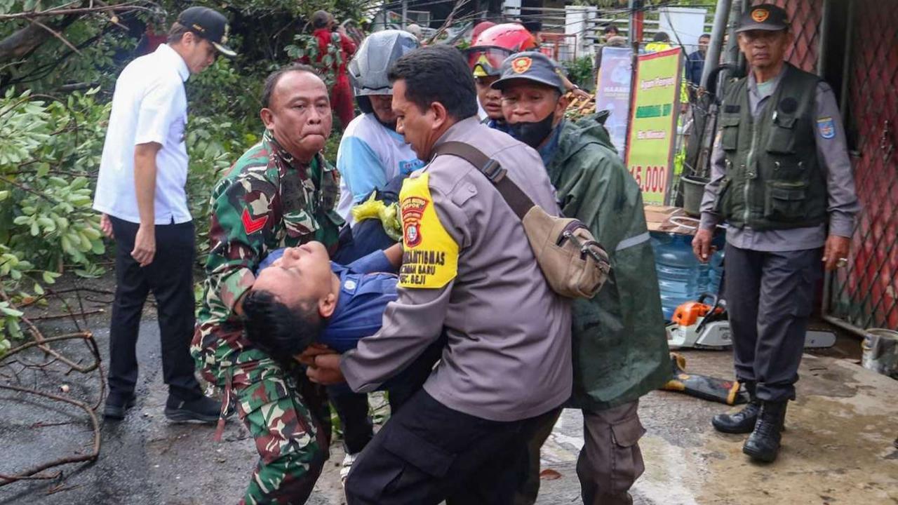 Pohon tumbang di Depok