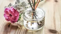 10 Tanaman untuk Minuman & Aromaterapi yang Mudah Ditanam di Rumah