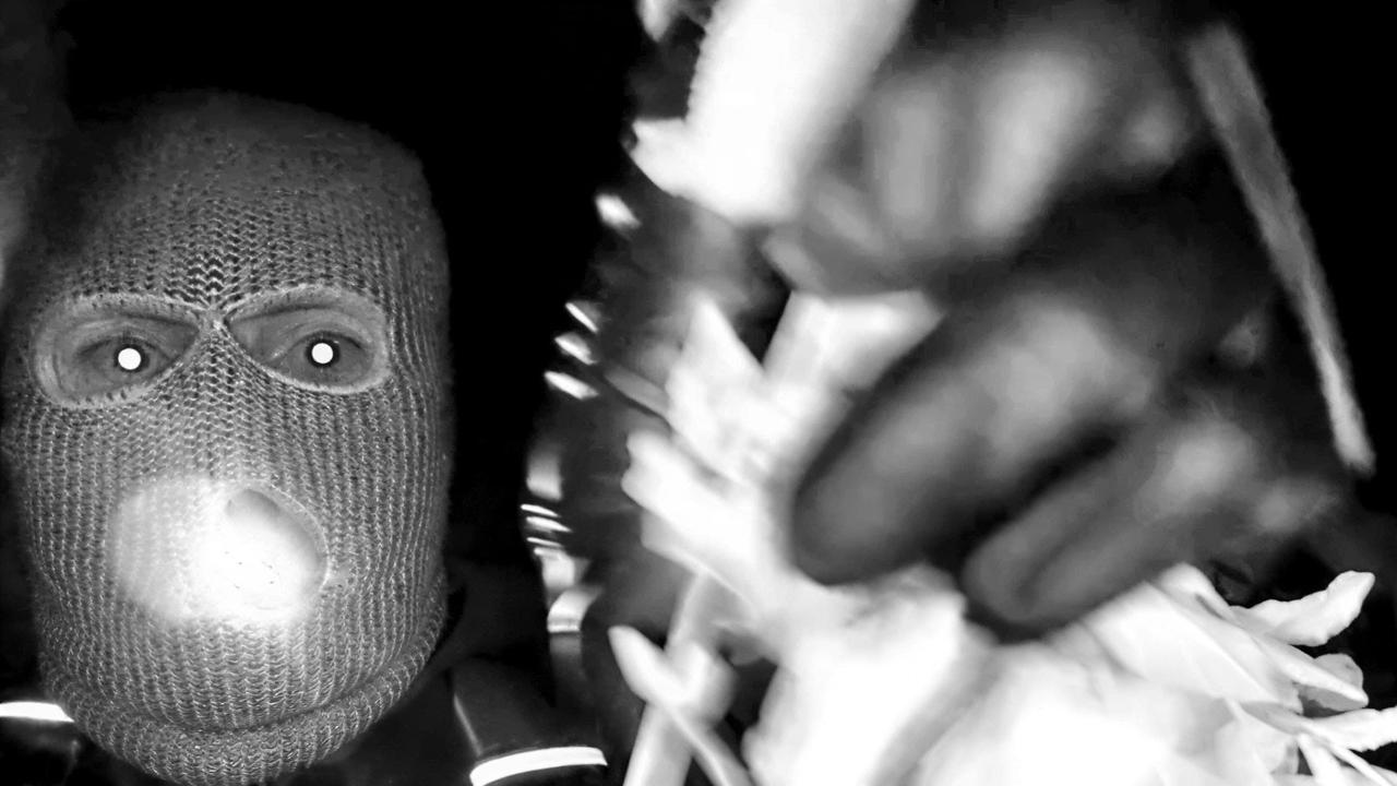 Nancy Guthrie: FBI Releases Footage of Gunman in Missing Mother Savannah Guthrie Case