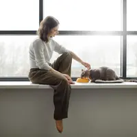 Kucing juga bisa merasakan stres, begini cara mengatasinya (Deli-Joy)