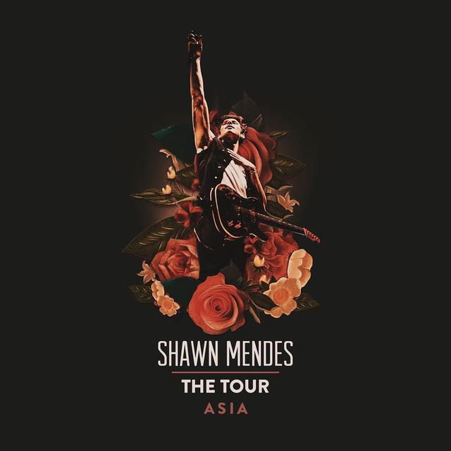 Tur Konser Shawn Mendes Asia (Instagram/ shawnmendes)