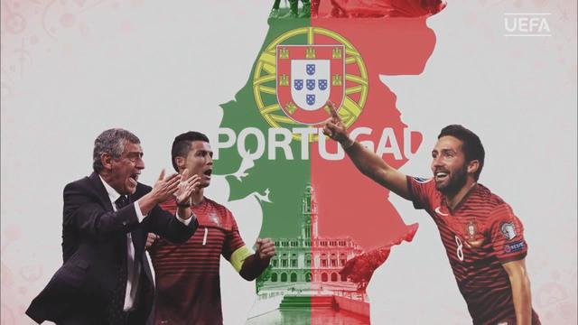 Video tim-tim yang akan berada di Grup F Piala Eropa 2016 Prancis. 